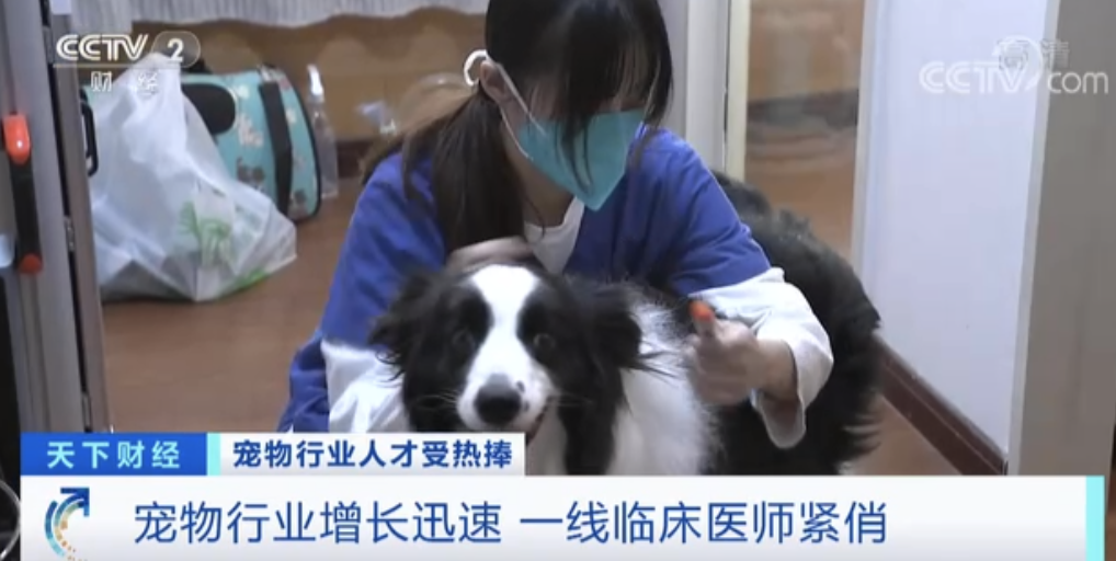 太缺人！这类人才月薪3万！8000亿大市场，紧急招人！
